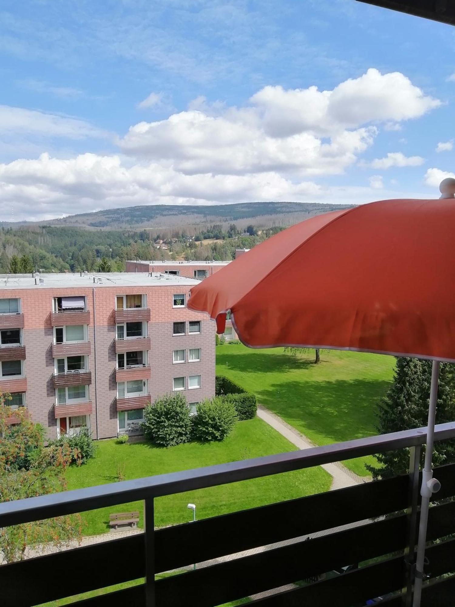 Fewo Brockenblick Panorama Altenau An Der Therme Luaran gambar